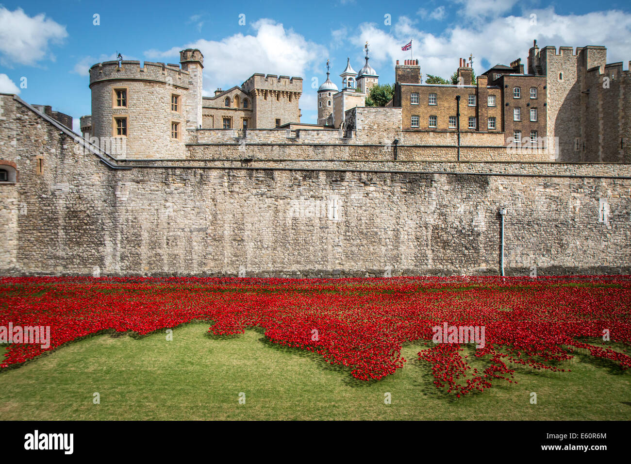 Douves de la Tour de Londres avec les coquelicots Banque D'Images