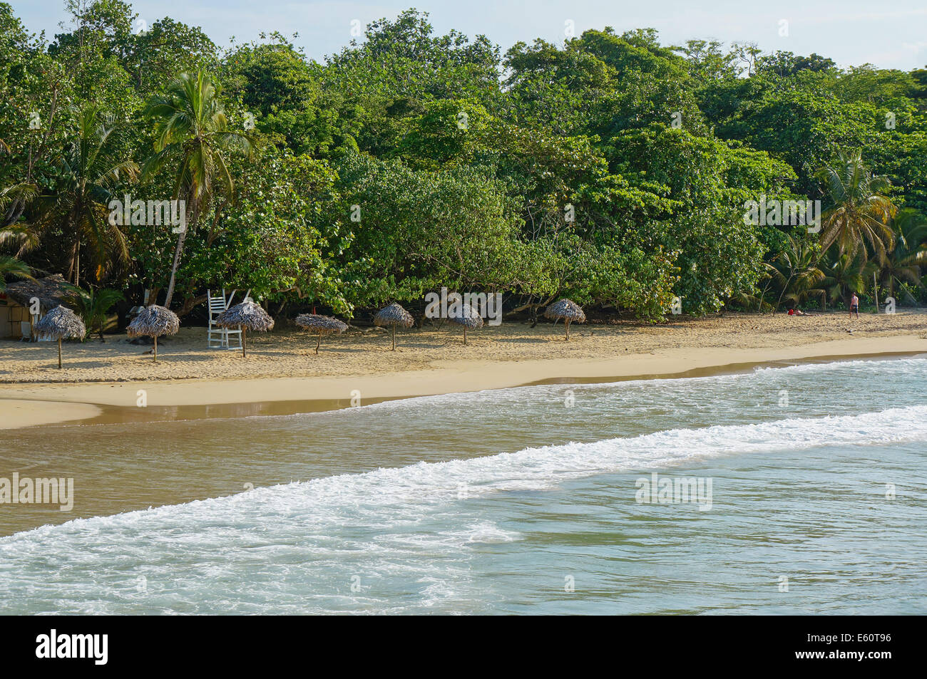 La feuille de palmier thatch parasols sur une plage de sable fin avec une végétation tropicale, mer des Caraïbes Banque D'Images