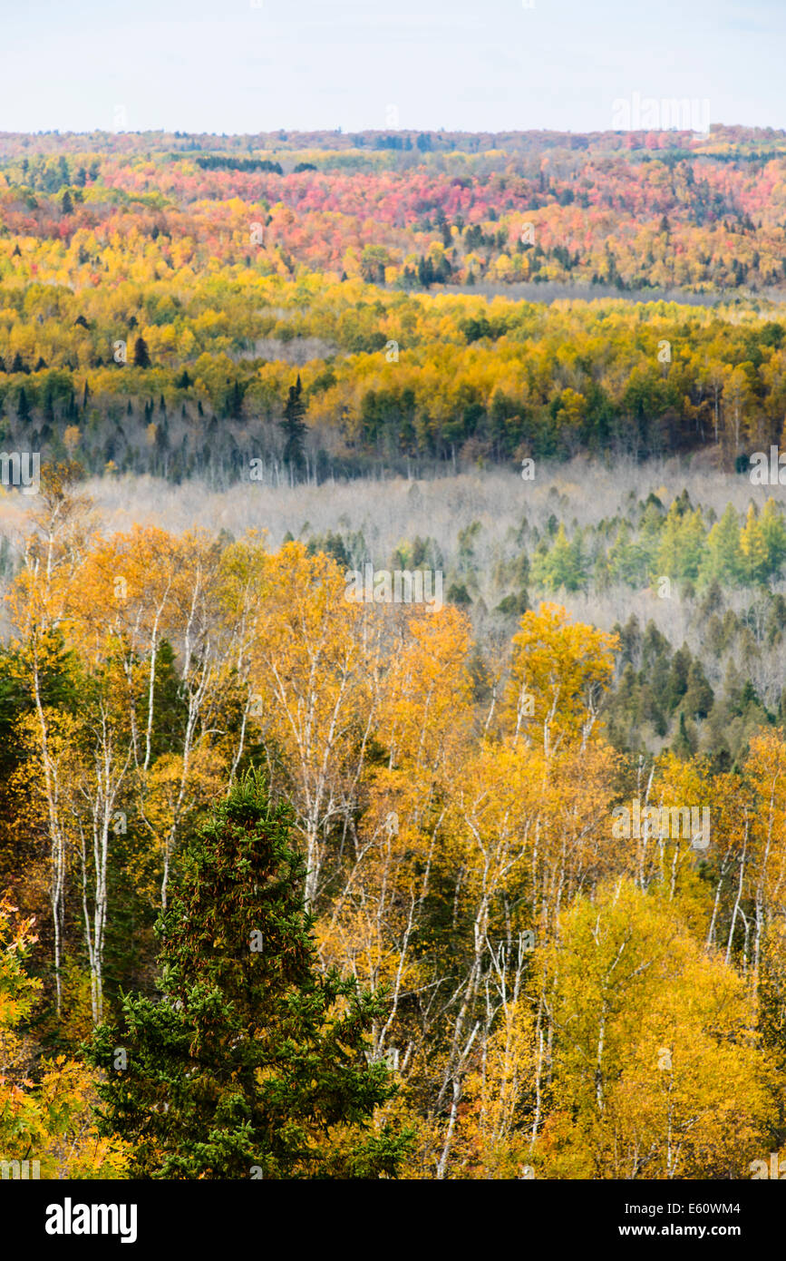 Couleurs d'automne la vallée au-dessous de la Wrenshall a un panorama. Banque D'Images