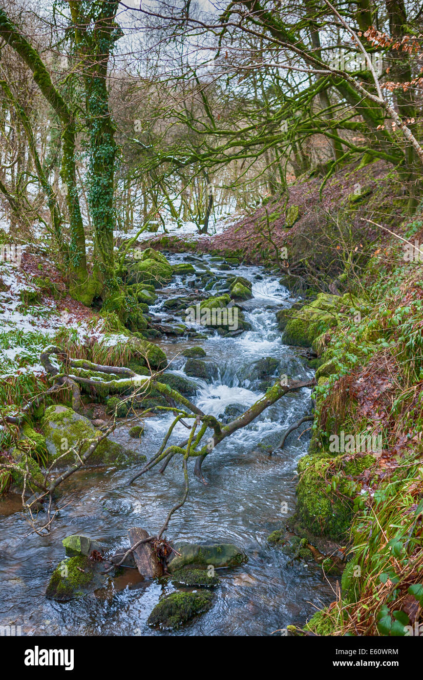 Lorsque la neige fond en amont sur la rivière Barle près de Tarr comme suit Banque D'Images