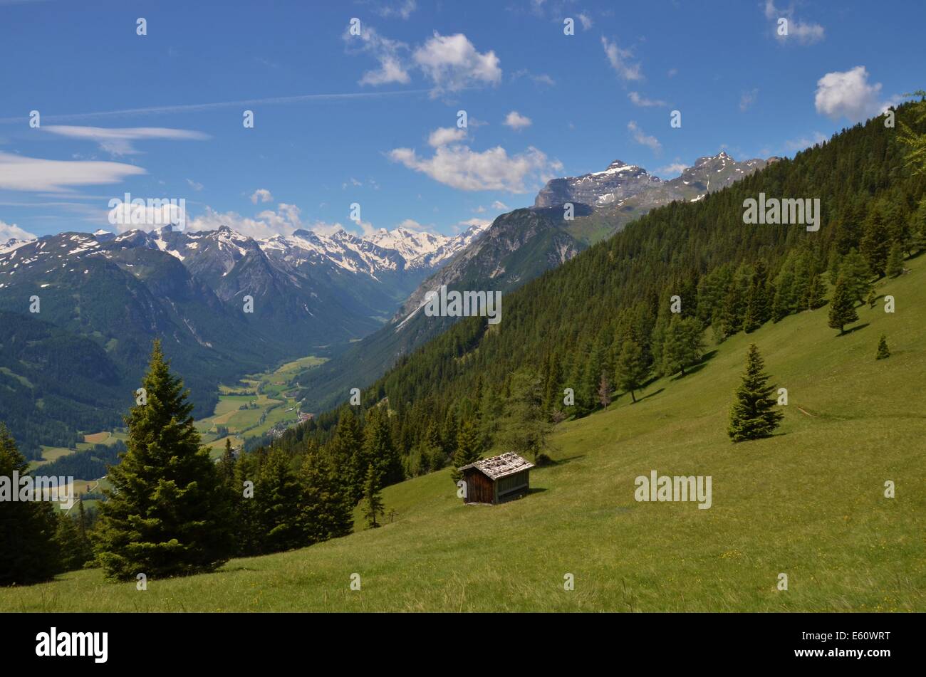 Vallée de Gschnitz, sur le chemin de Blaser hut, prairies alpines avec beaucoup de fleurs, vue de Pitztal Banque D'Images