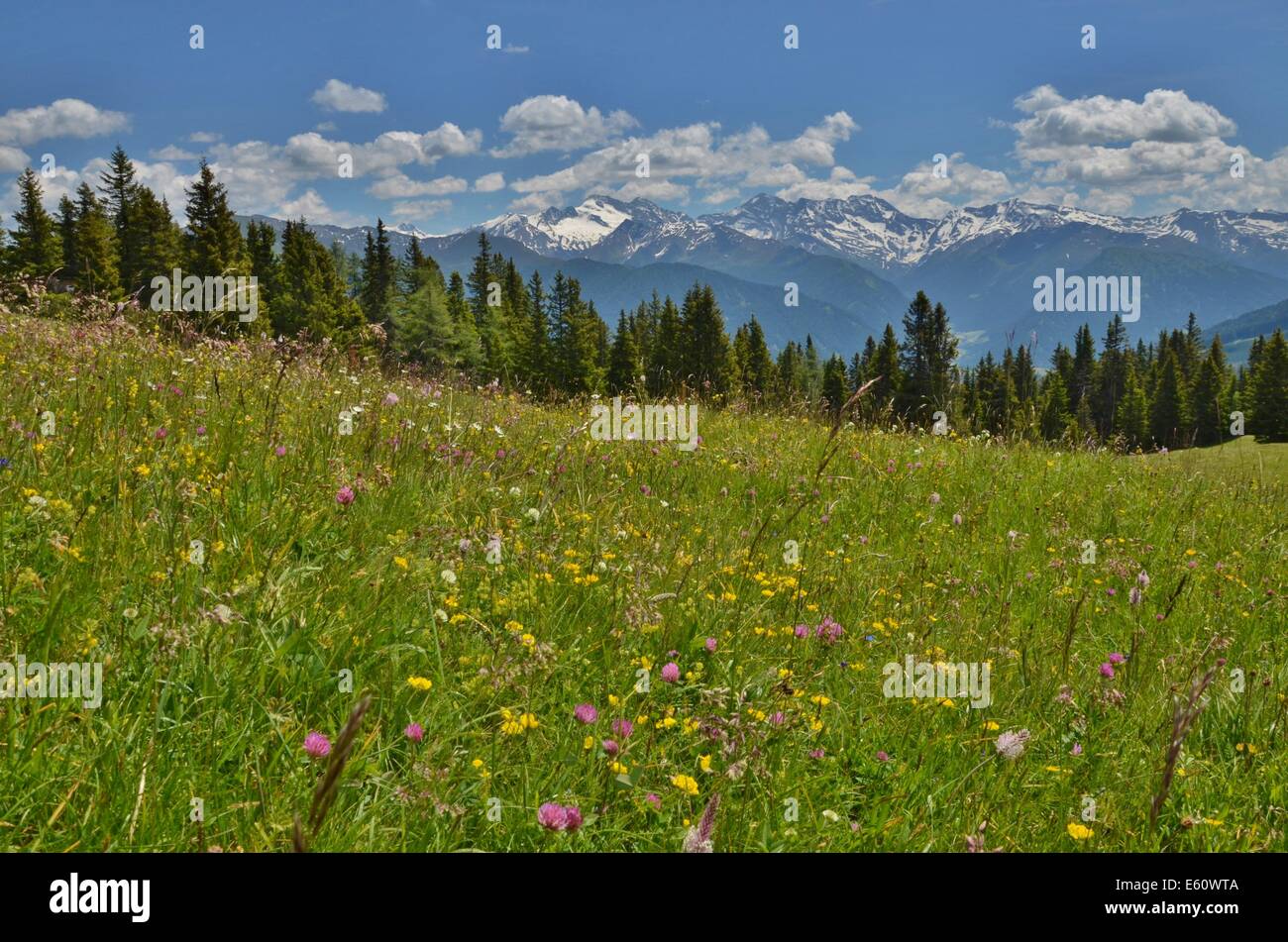 Cette promenade de 10 km de long de Trins à travers la vallée de Gschnitztal nous conduit au Mill Village à la tête de la vallée. Banque D'Images