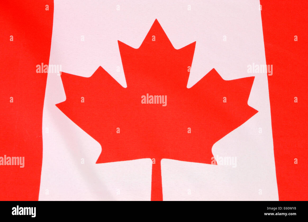 De l'arrière-plan de la feuille d'érable canadienne drapeau rouge et blanc pour la national public maison de l'événement. Banque D'Images