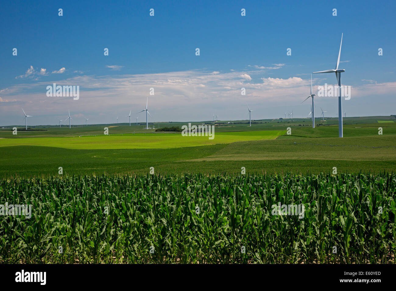 Elgin, Illinois - éoliennes sur une ferme du Nebraska. Banque D'Images