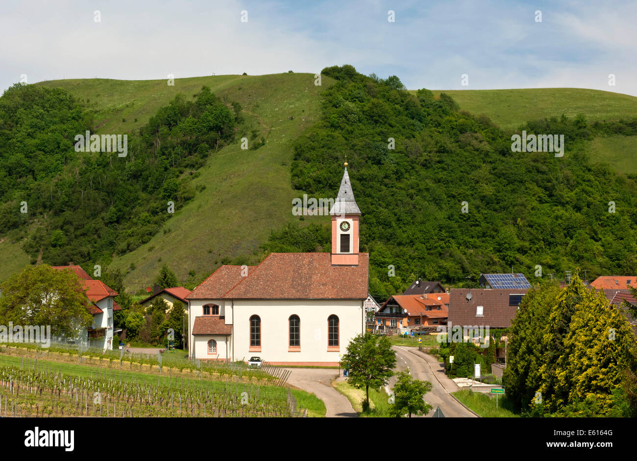 Église Saint Romanus, Alt-Vogtsburg Badberg, réserve naturelle à l'arrière, Vogtsburg im Kaiserstuhl, Bade-Wurtemberg, Allemagne Banque D'Images