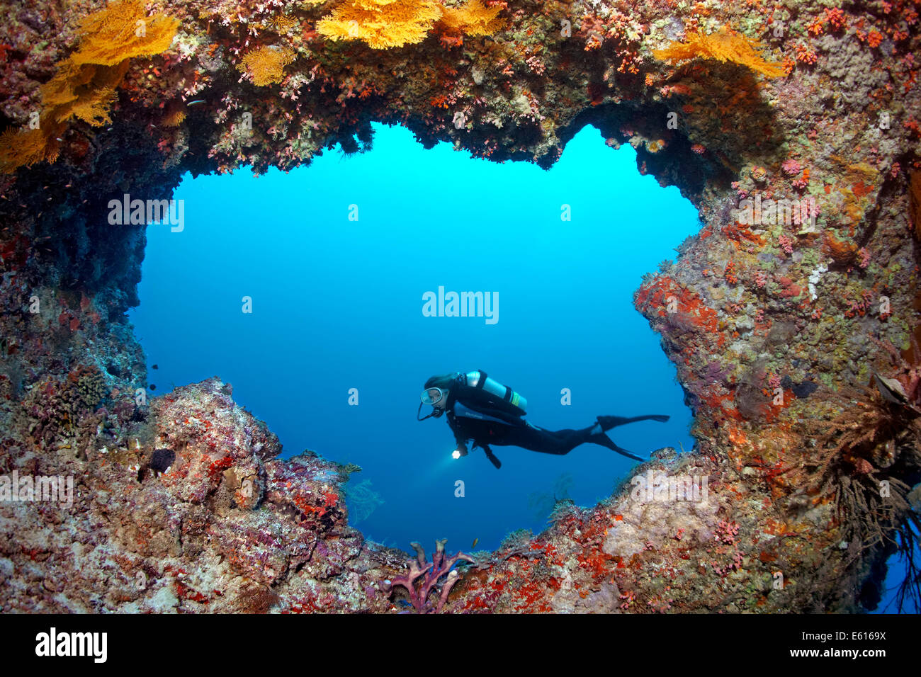 Plongée sous-marine Plongée sous-marine en face d'une entrée, Lhaviyani Atoll, Maldives, océan Indien Banque D'Images