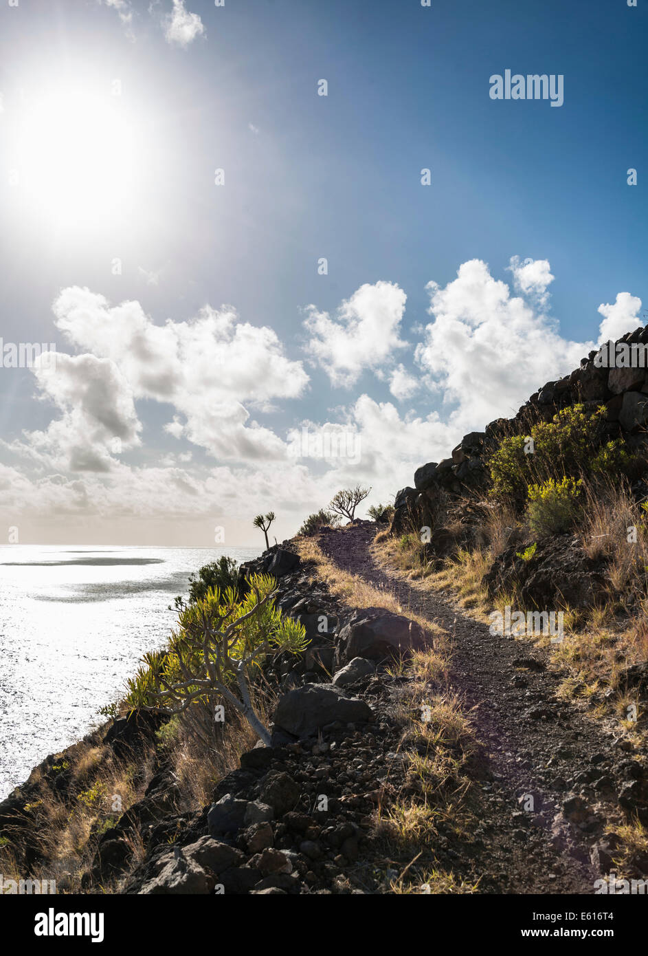 Sentier de randonnée au-dessus de la mer, les falaises impressionnantes, La Palma, Canary Islands, Spain Banque D'Images