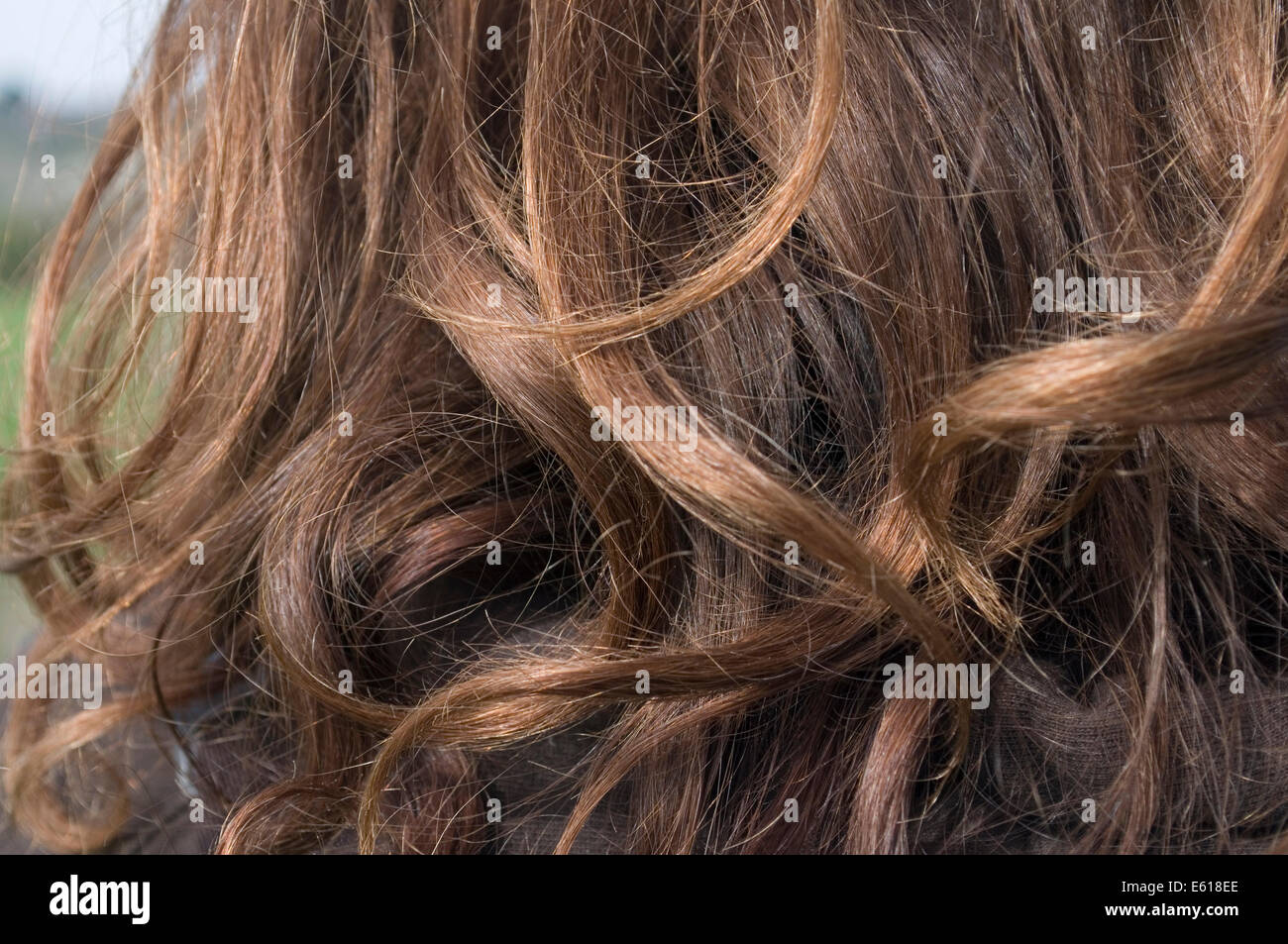 Les cheveux ondulés brun de femme Banque D'Images