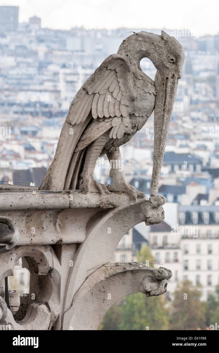 Une statue d'un oiseau sur le dessus de la Cathédrale Notre Dame Paris France. Banque D'Images