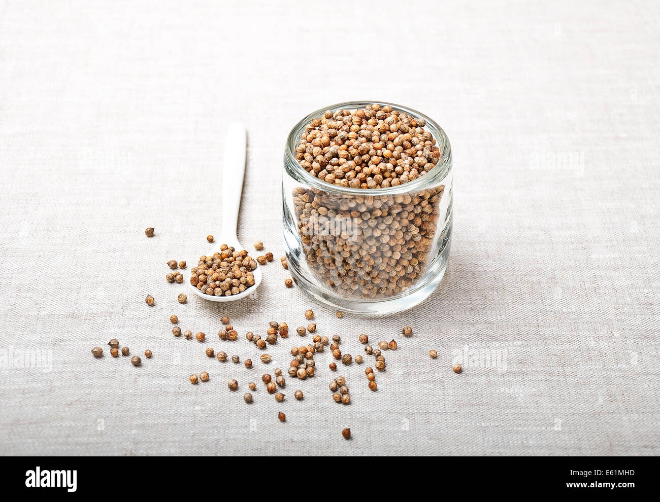 Les graines de coriandre séchée - Coriandre - graines de coriandre séchée dans un verre sur toile avec cuillère en plastique blanc. Banque D'Images