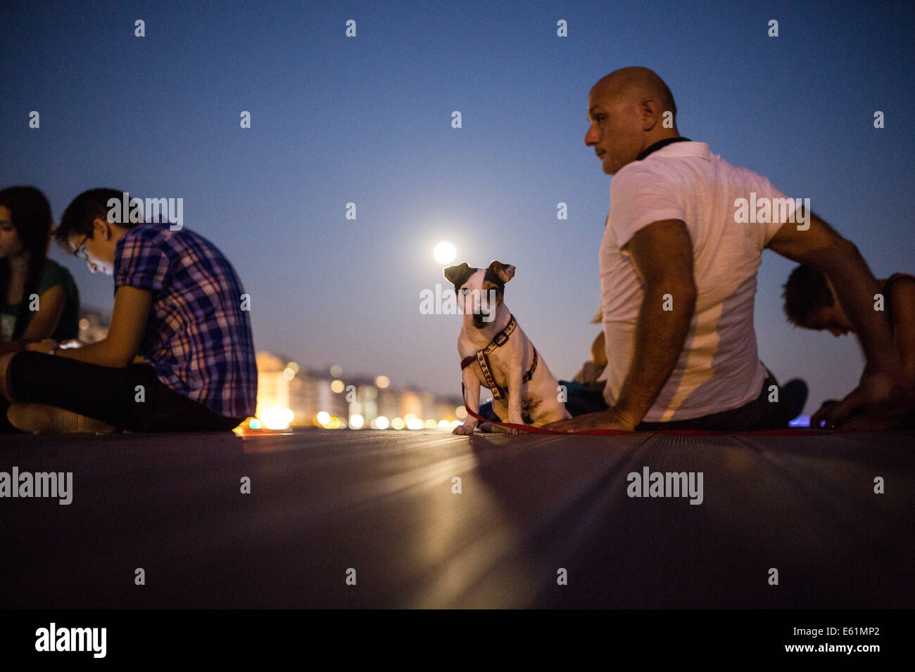 Thessalonique, Grèce. 10e Août, 2014. Un chien se tient debout devant le périgée de la lune, également connu sous le nom de Supermoon, à Thessalonique, en Grèce le 10 août 2014. Credit : Konstantinos Tsakalidis/Alamy Live News Banque D'Images
