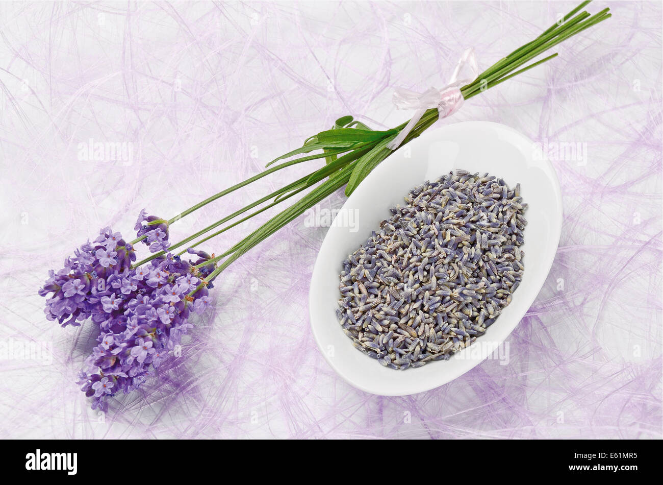 des,fleurs,de,lavande,fraiche,et,seche,fleurs,de,lavande ,sechees,dans,un,bol,en,porcelaine,blanche,et,des,fleurs,fraiches,sur,un,tissu,en,fibre,de,pourpre,