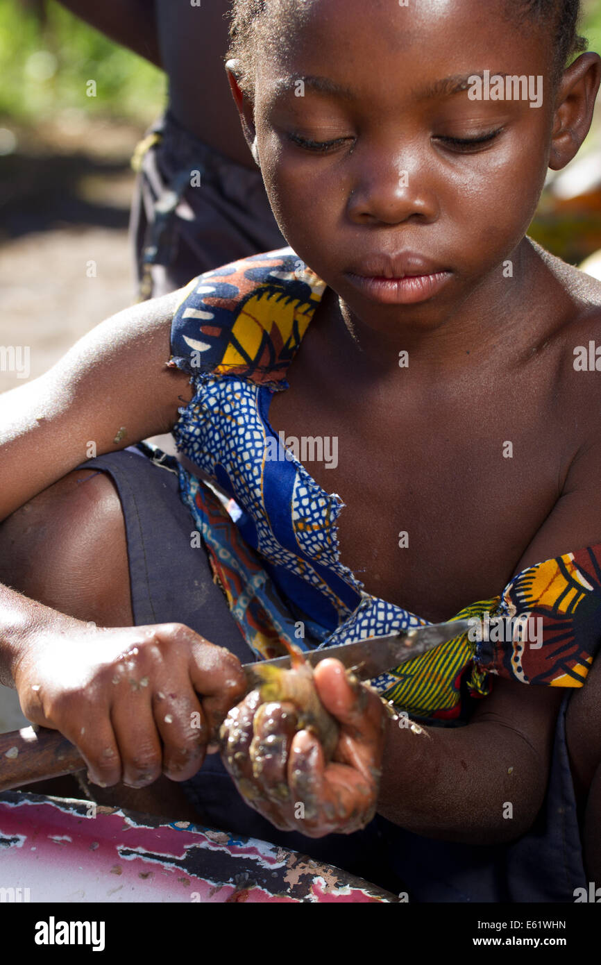 La pêche est une activité économique principale pour les familles vivant dans et autour des zones humides, de la Zambie, Bangweulu y compris pour les enfants. Banque D'Images
