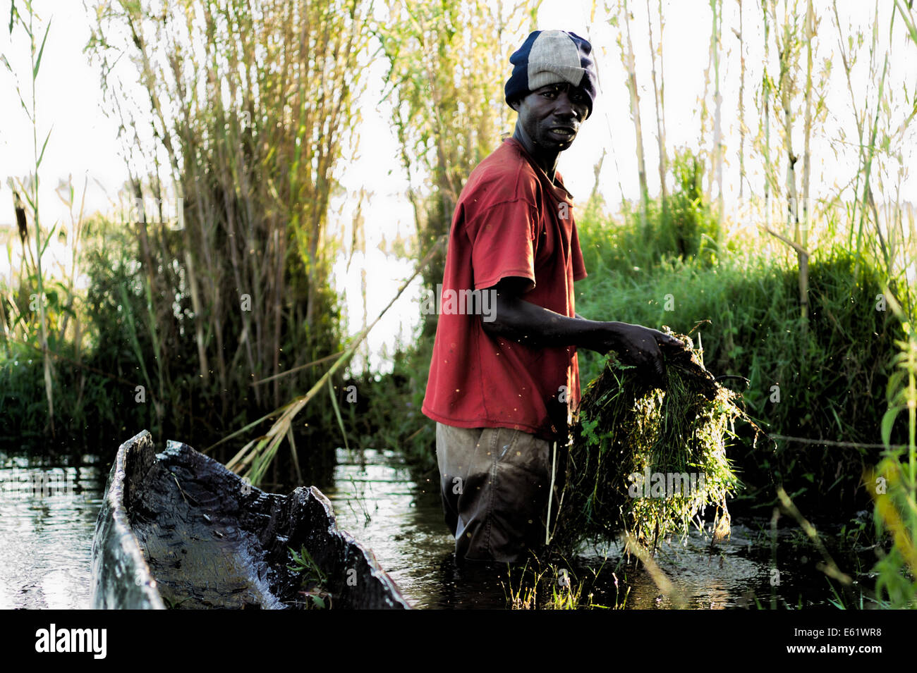 La pêche est une activité économique principale pour les familles vivant dans et autour des zones humides, de la Zambie, Bangweulu y compris pour cet homme. Banque D'Images