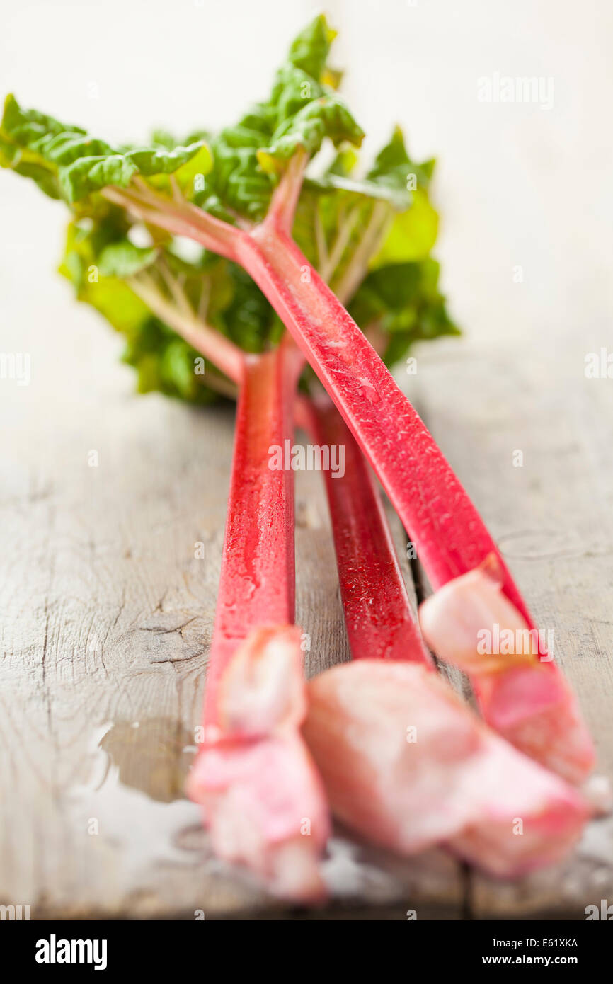 La rhubarbe Champagne Banque D'Images