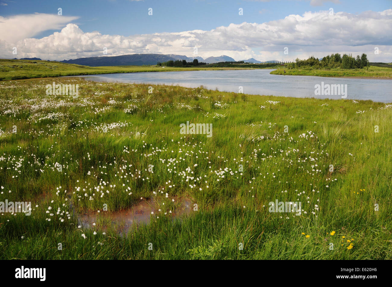 Bruara River dans le sud de l'Islande serpentant à travers les prairies et entouré de paysages vierges Banque D'Images