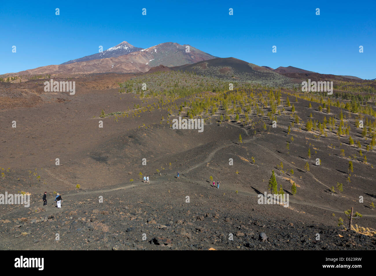 Vue sur le mont Teide, 3718 m, Pico del Viejo, 3134 m et Volcán de la Botija volcan, 2122 m, vu depuis le cratère de Samara Banque D'Images