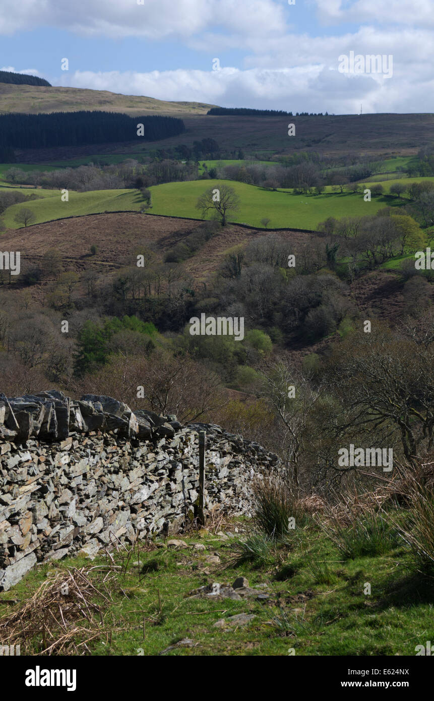Mur en pierre sèche à Llançà Ffestiniog, Snowdonia, Gwynedd Banque D'Images