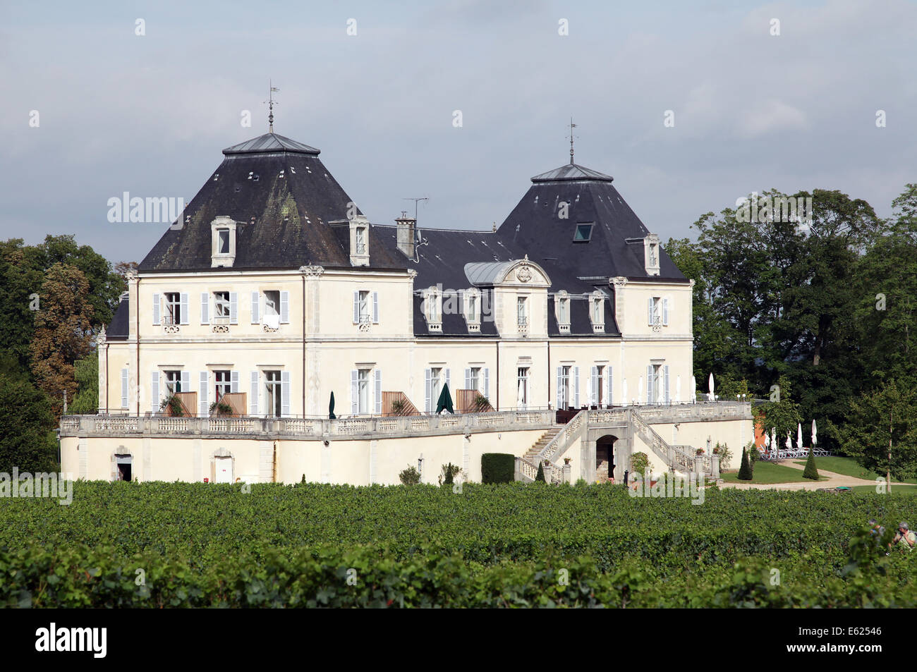 Château de Cîteaux - Meursault La cueillette Philippe Bouzereau Viticulteur.Bourgogne.Côte-d'ou 'golden' pente Bourgogne-Franche-Comté Banque D'Images