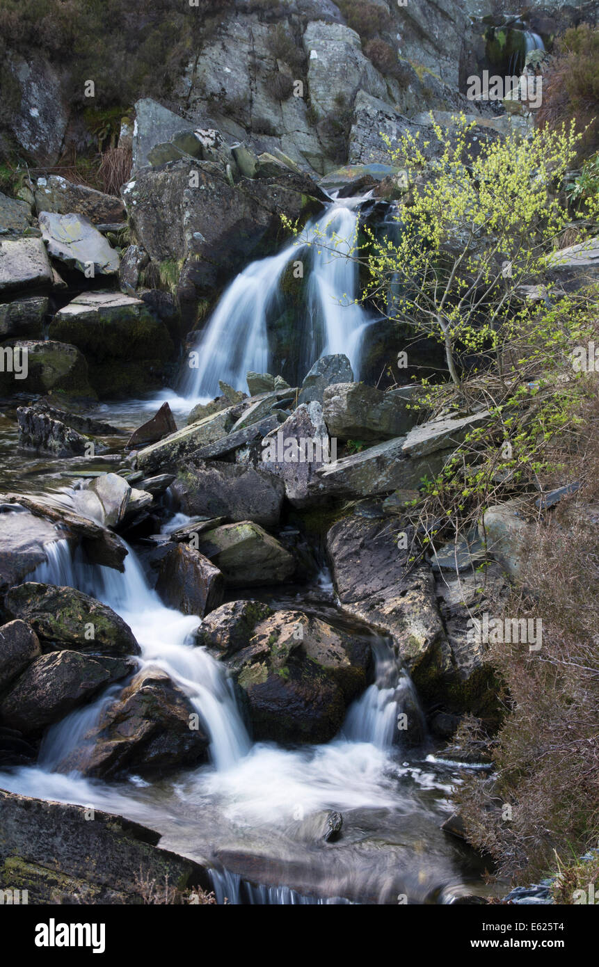 Chute d'eau à Tanygrisiau, Snowdonia, Gwynedd, au nord du Pays de Galles Banque D'Images