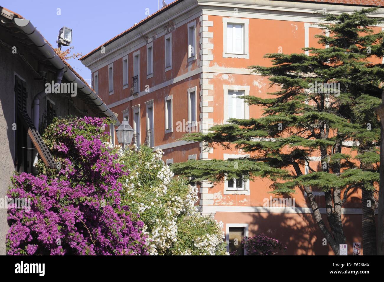 L'île de Capraia (Archipel toscan, Italie), maisons du village Banque D'Images