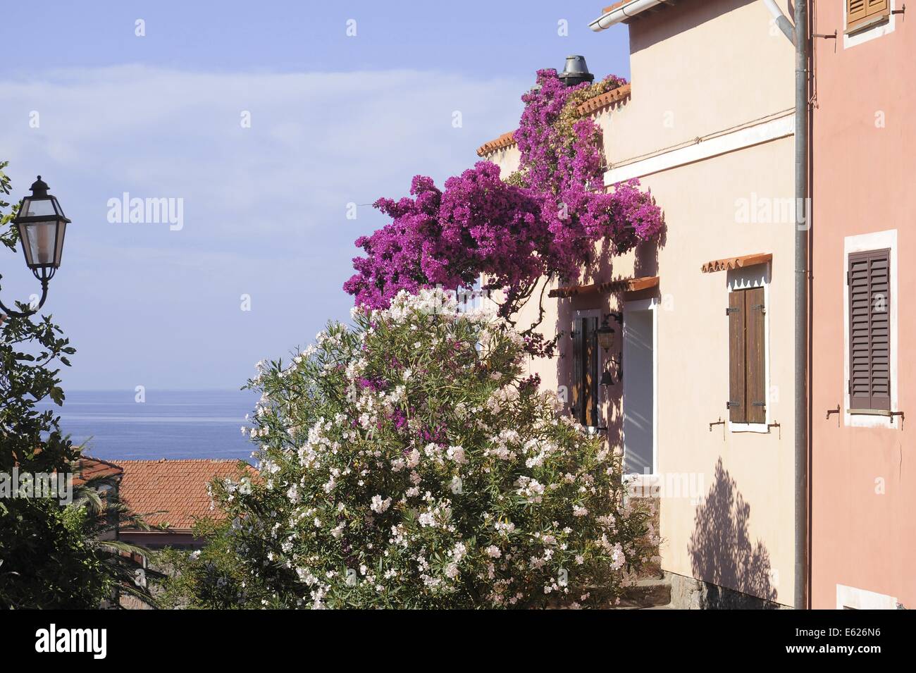 L'île de Capraia (Archipel toscan, Italie), maisons du village Banque D'Images