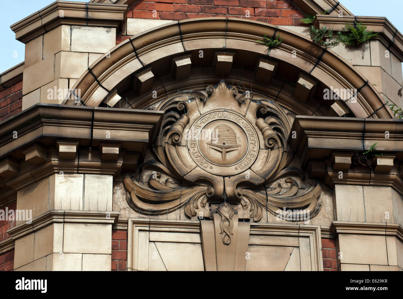 Ancienne sculpture sculpture de la Grande Grimsby Co-operative Society sur la façade de la Cour d'Oxford Street, de l'Écorce, Grimsby. Banque D'Images
