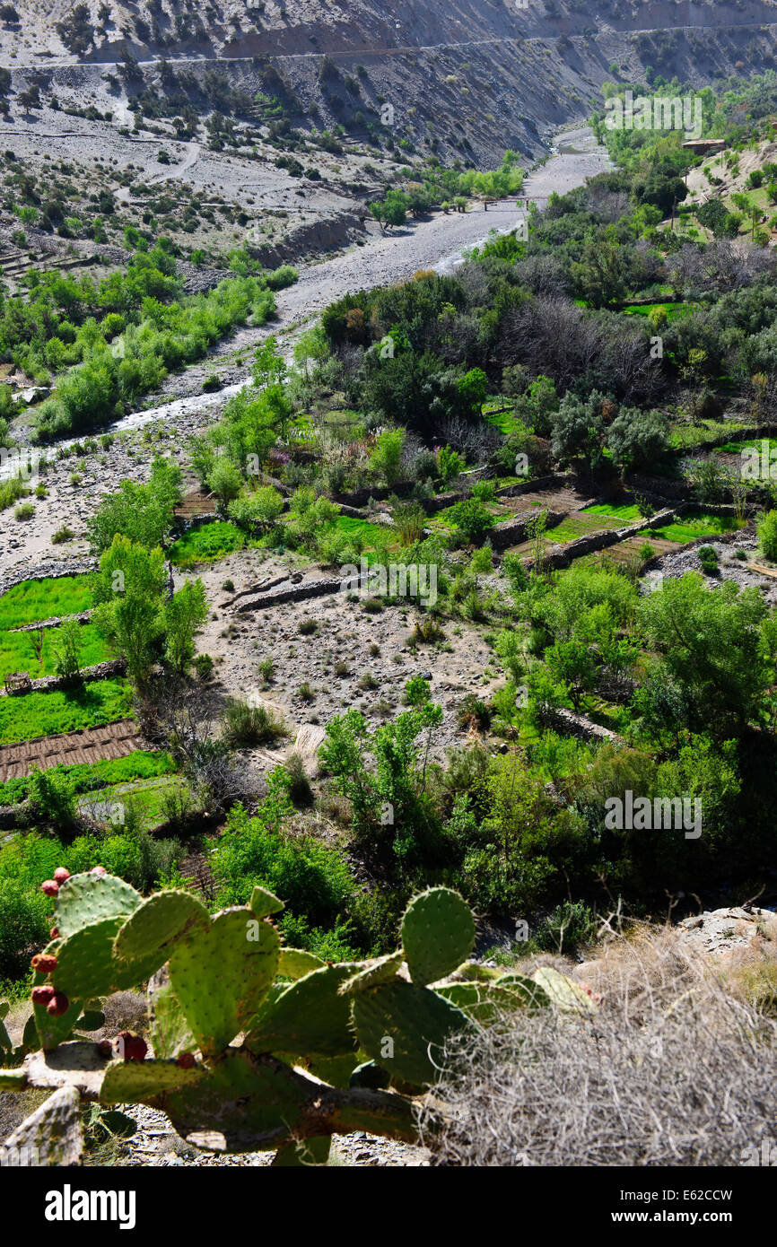 Vues d'mzouzite,ijoukak vallées,villages,barrages,homme,lacs,deep river rivière nfiss ravins,r203 south road,Maroc,taroudannt Banque D'Images