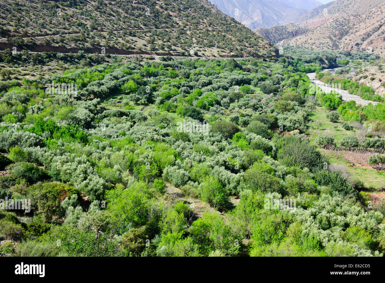 Vues d'mzouzite,ijoukak vallées,villages,barrages,homme,lacs,deep river rivière nfiss ravins,r203 south road,Maroc,taroudannt Banque D'Images