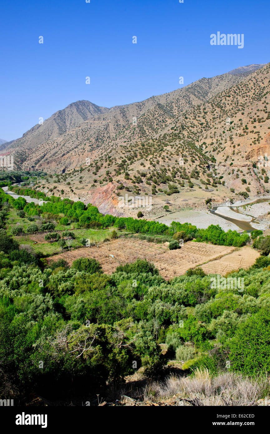 Vues d'mzouzite,ijoukak vallées,villages,barrages,homme,lacs,deep river rivière nfiss ravins,r203 south road,Maroc,taroudannt Banque D'Images