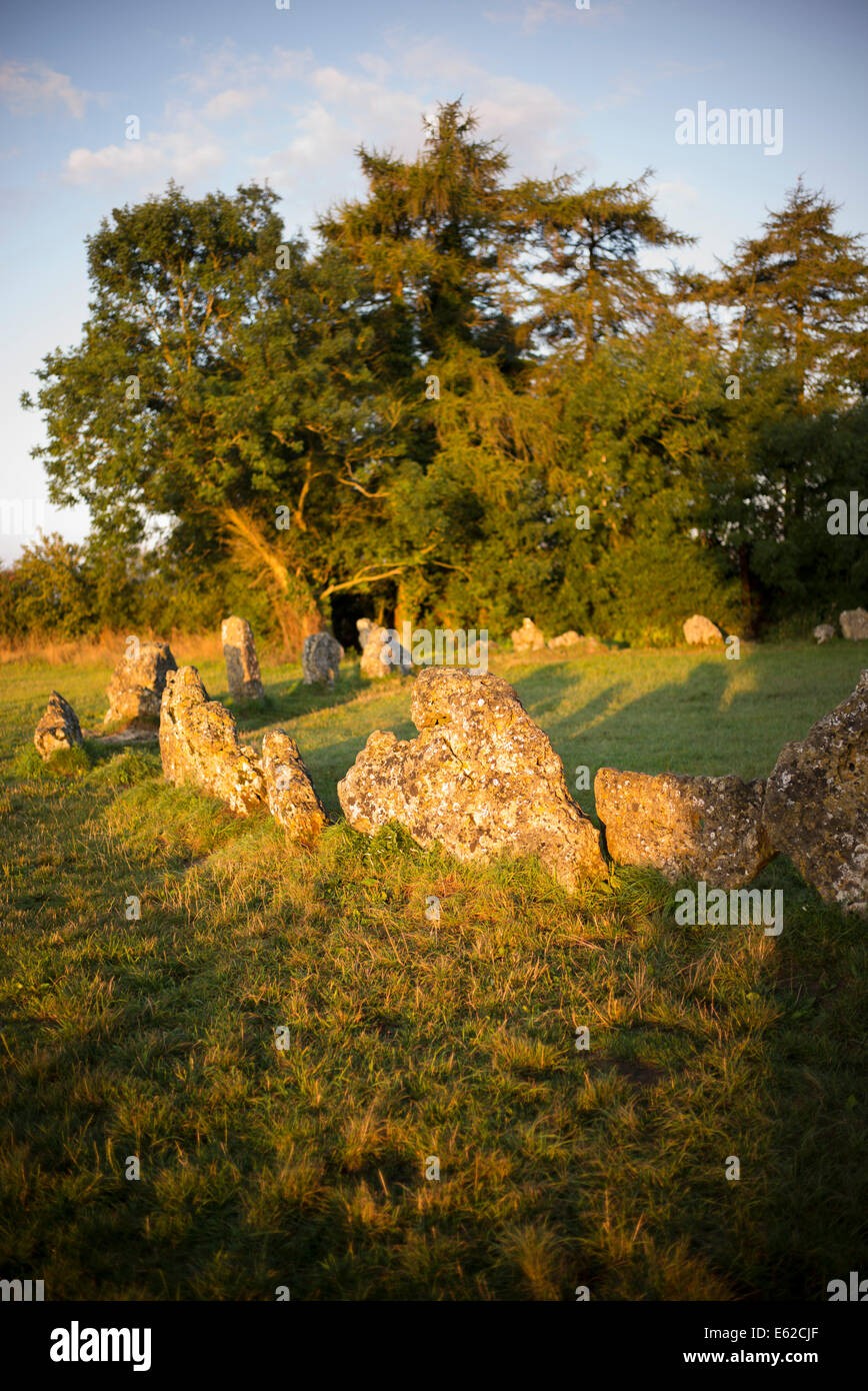 Le Rollright stones au lever du soleil. Oxfordshire, Angleterre Banque D'Images