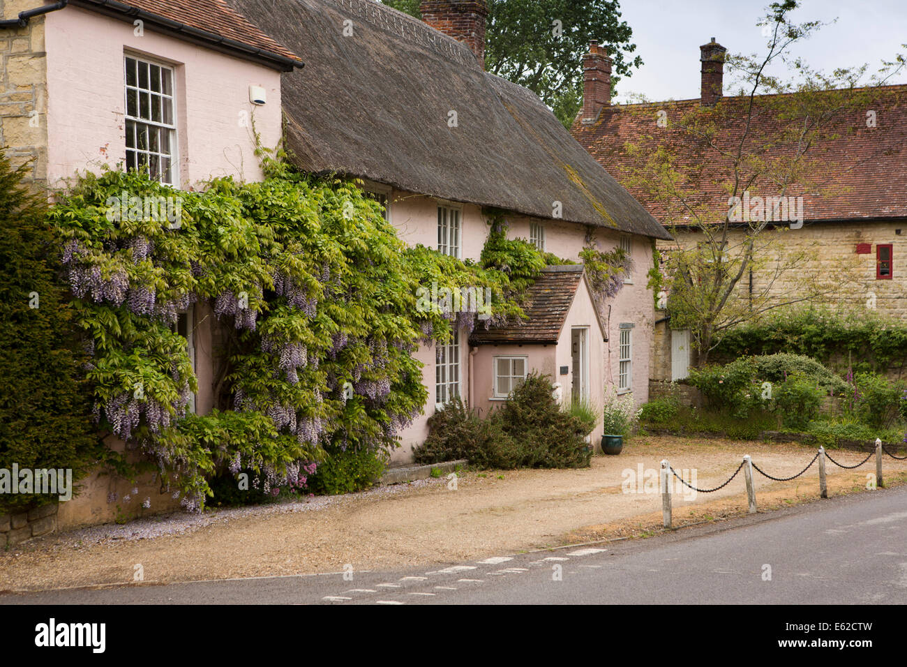 Royaume-uni l'Angleterre, dans le Dorset, Marnhull, Burton Street, hung wisteria idyllique maison de village Banque D'Images