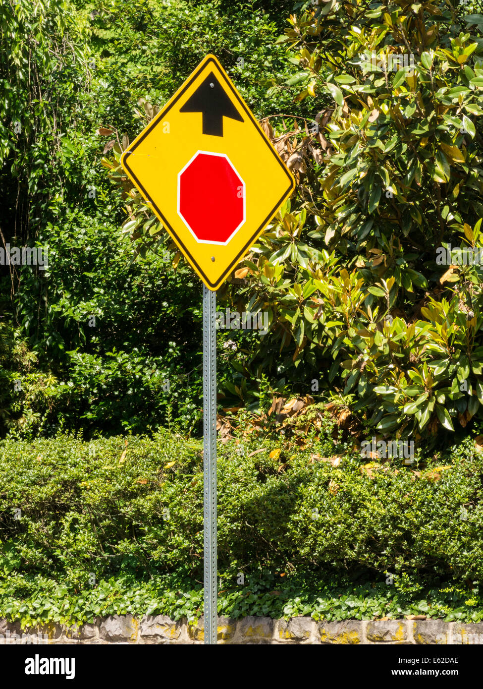 Arrêter l'avant Panneau de circulation, USA Banque D'Images