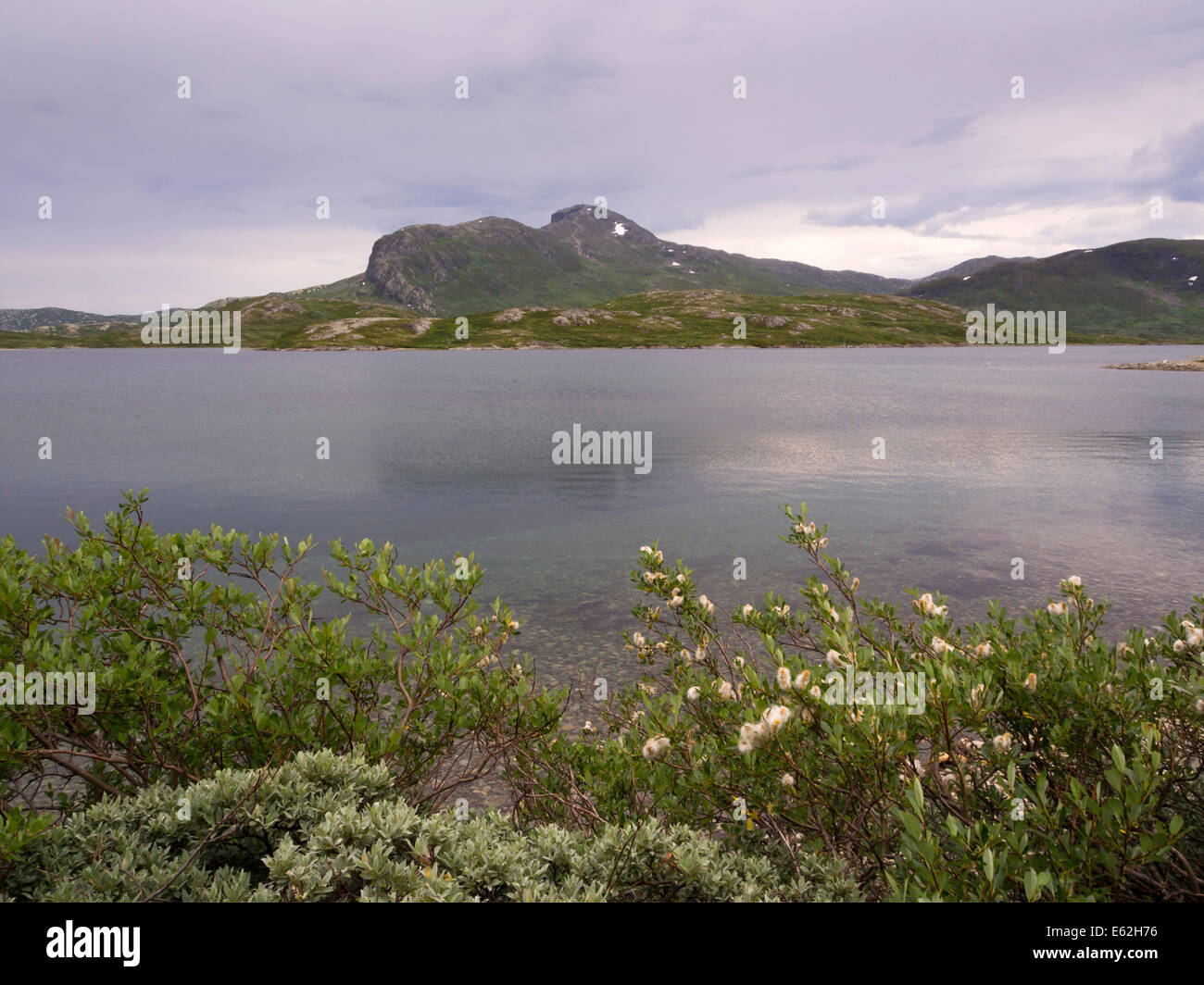 Lac Bygdin Jotunheimen en Norvège un soir d'été, Bitihorn mountain en arrière-plan, Salix sur la rive en face près du Parc National Banque D'Images