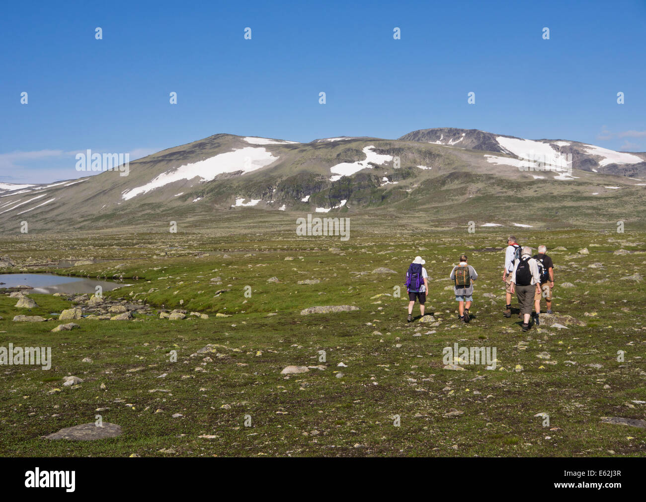 Les randonneurs sur un sentier à travers Valdresflya en Norvège Jotunheimen, aride mais accueillant, dans le soleil de l'été, en route pour le parc national Banque D'Images