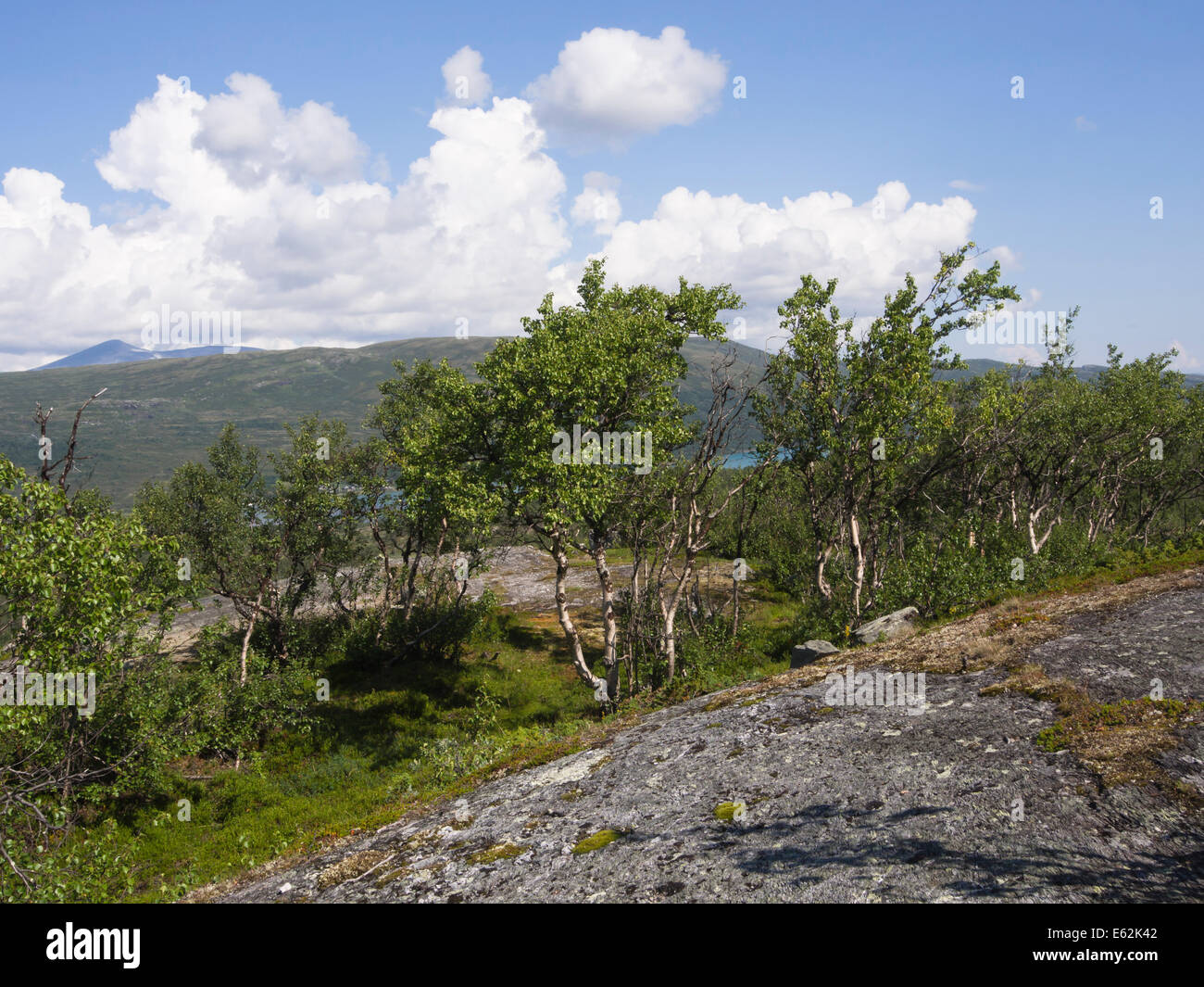 Paysages de montagne, la Norvège Jotunheimen Scandinavie, des chaînes de montagne dans le parc national Banque D'Images