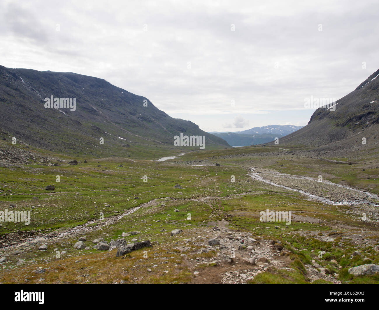 Il Svartdalen dans un col de montagne Parc national de Jotunheimen en Norvège, aride paysage alpin avec sentier et River Banque D'Images
