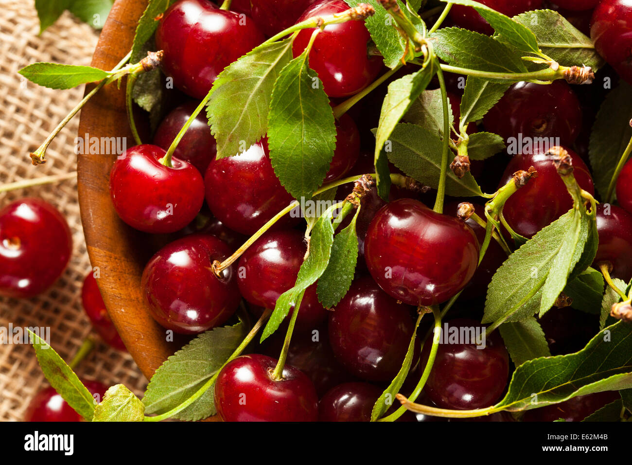 Les cerises acides organiques sains dans un bol Banque D'Images