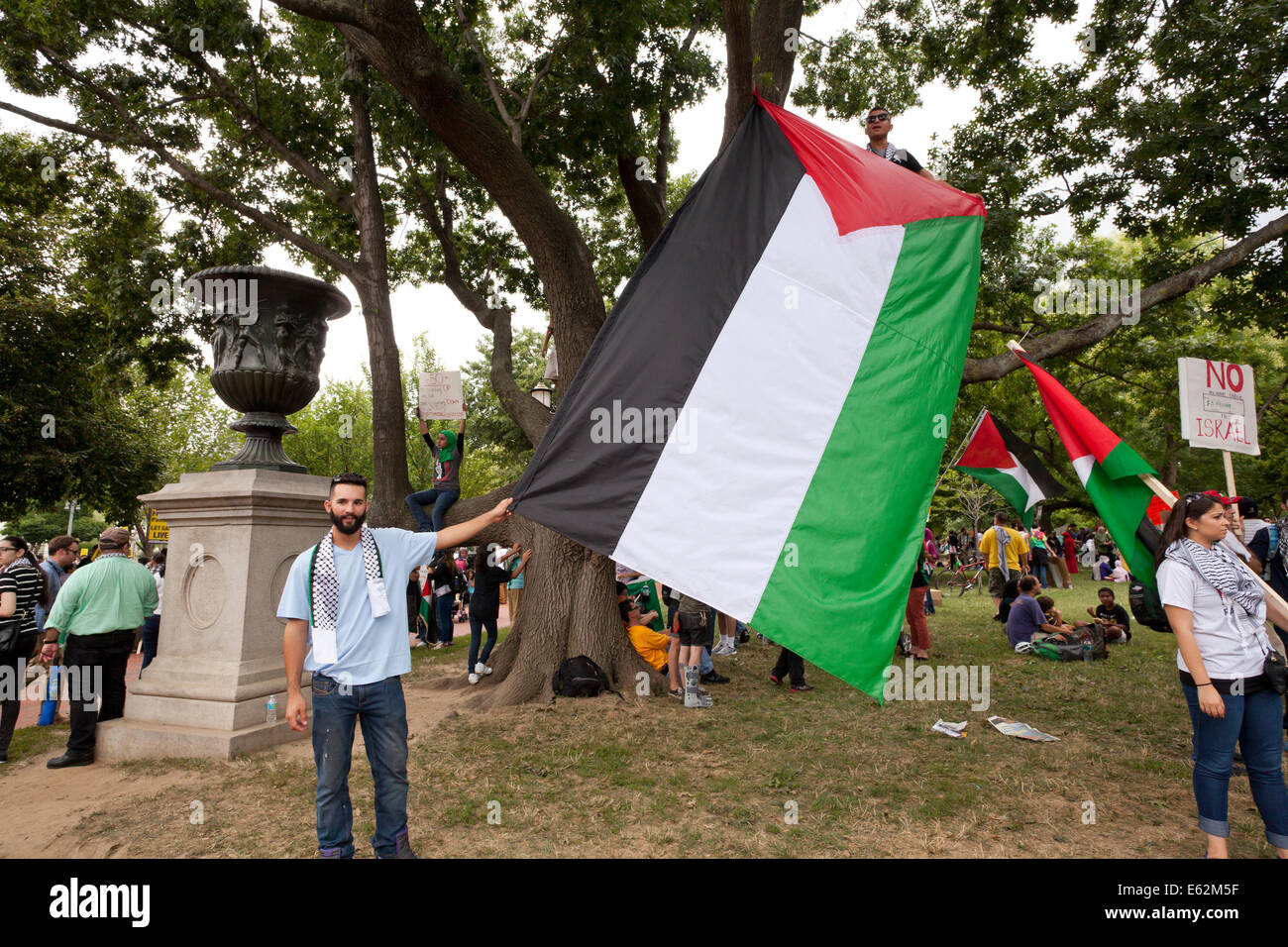 Pro-Palestine protestataires holding grand drapeau palestinien - Washington, DC USA Banque D'Images