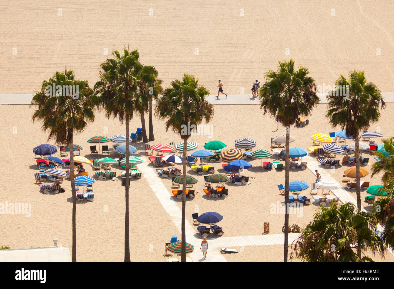 Des palmiers entourent un club de plage, Santa Monica, Los Angeles County, Californie, États-Unis d'Amérique Banque D'Images