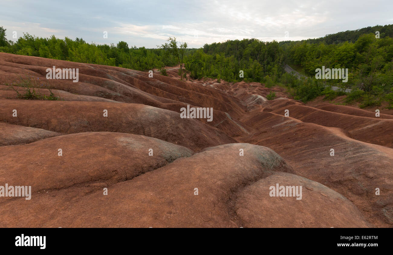 Des pistes se combinent avec des pics à Cheltenham Badlands dans le sud de l'Ontario. Banque D'Images