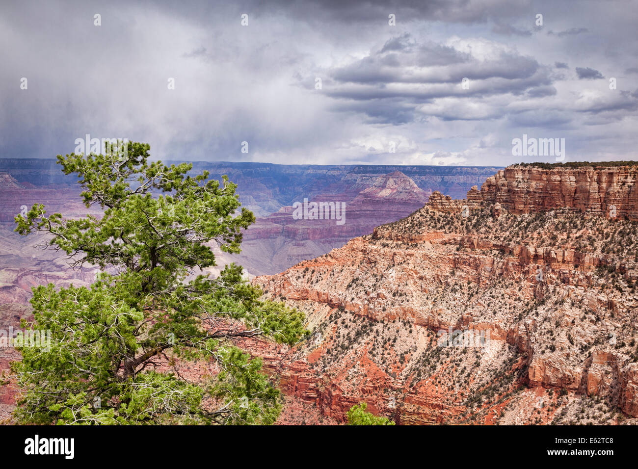 Pipecreek Vista, Grand Canyon, sous un ciel couvert, avec des nuages doux s'écoule dans la canyon. Banque D'Images