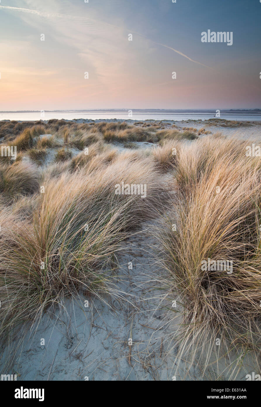 West Wittering, West Sussex, England, UK Banque D'Images