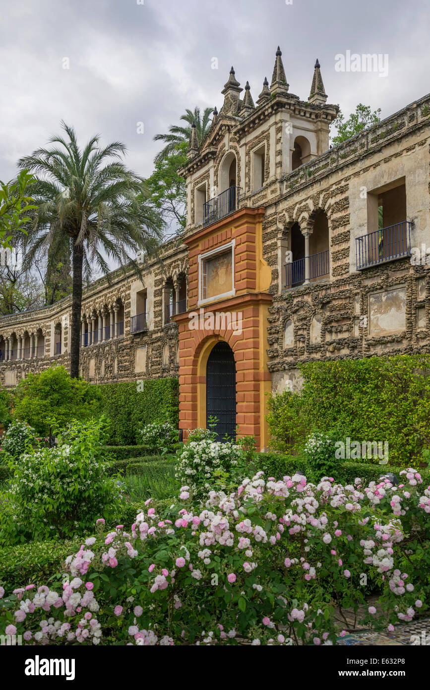 Jardins de l'Alcázar, Palais de l'Alcázar, Séville, Andalousie, Espagne Banque D'Images