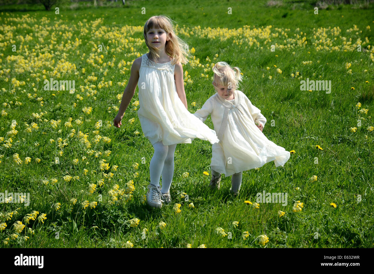 Deux filles, 7 et 2 ans, vêtu de robes d'été, dans un domaine de coucou bleu, Suède Banque D'Images