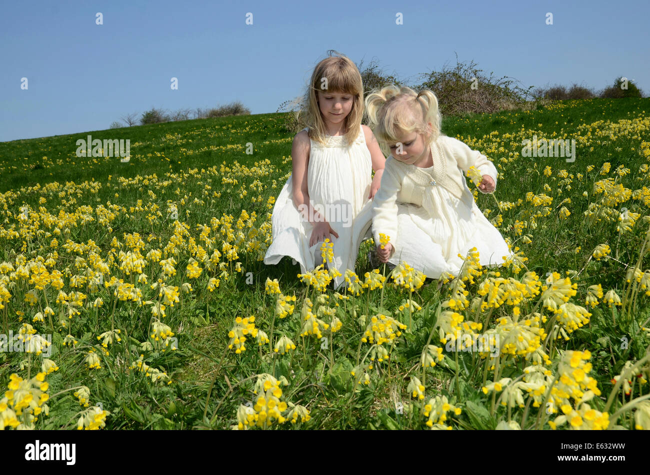 Deux filles, 7 et 2 ans, vêtu de robes d'été, dans un domaine de coucou bleu, Suède Banque D'Images