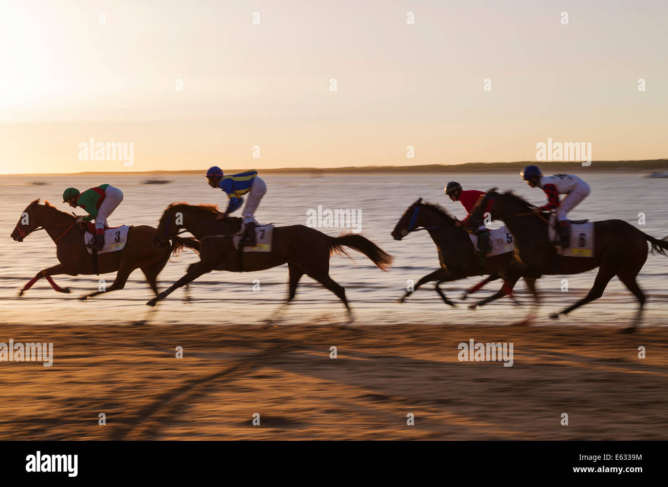 Course de chevaux sur la plage de Sanlúcar de Barrameda, à l'embouchure de la rivière Guadalquivir, Cadiz Province, Andalusia, Spain Banque D'Images