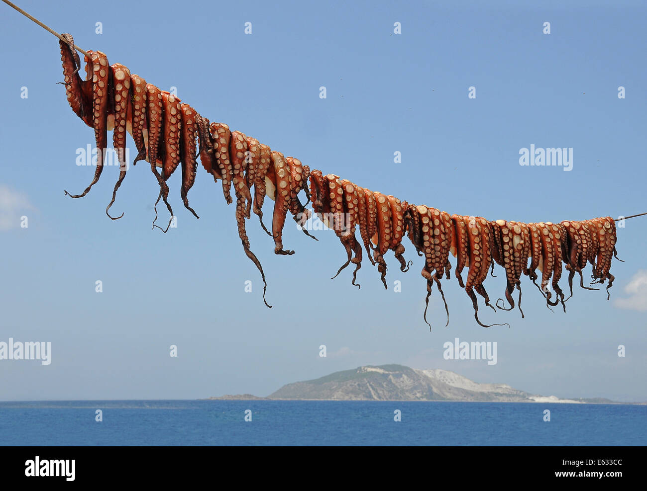 Les pieuvres accroché à sécher sur un fil a linge, Mandraki, Kos, Grèce Banque D'Images