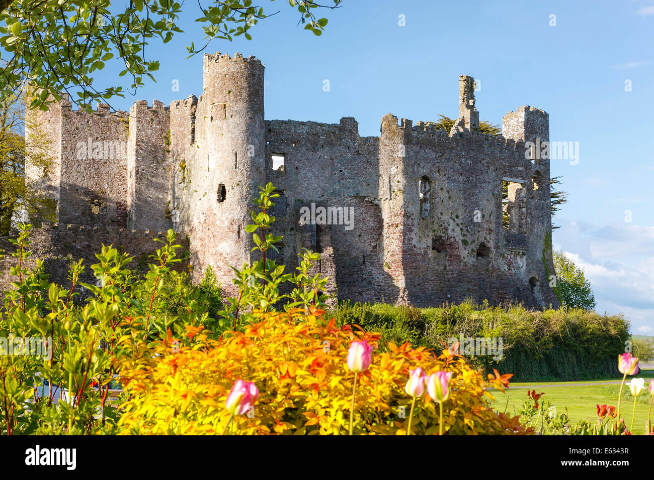 Château Carmarthenshire Carmarthen Wales Banque D'Images