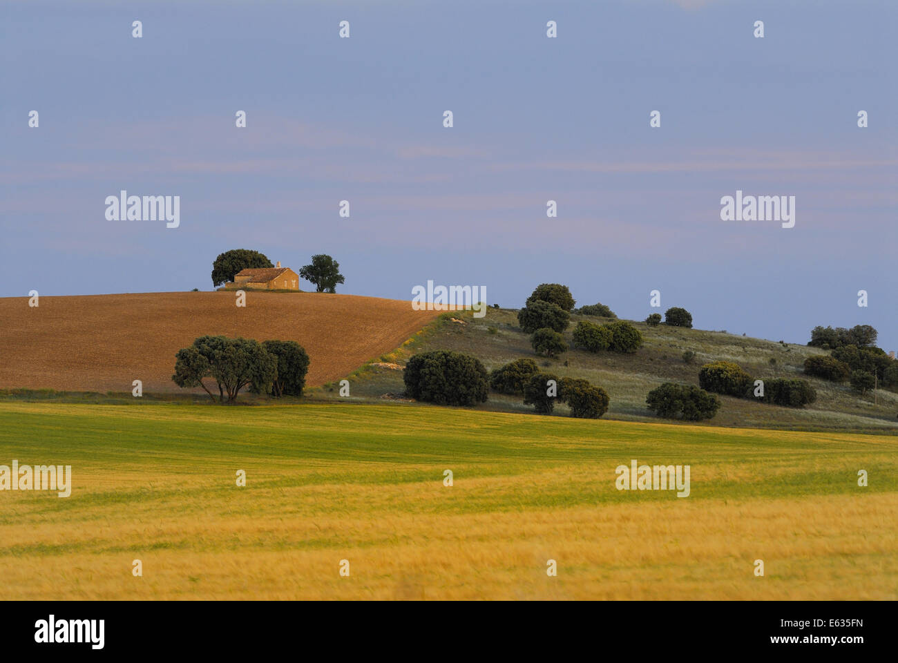 Paysage pittoresque avec des champs et de la propriété, près de l'autoroute entre Madrid et Valence, Espagne Banque D'Images